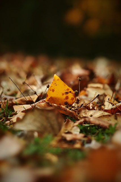 在其他俱乐 在其他俱乐