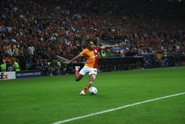 能够提升观 能够提升观