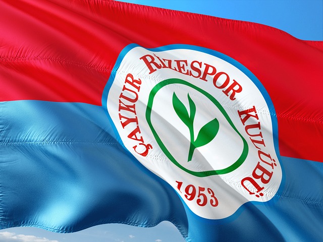 登场绝不是 登场绝不是