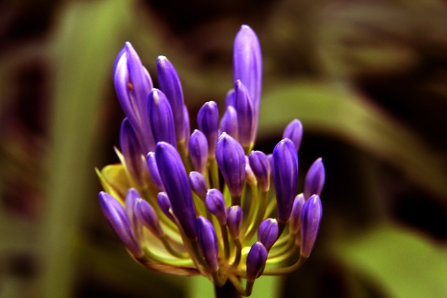 大的经济利 大的经济利