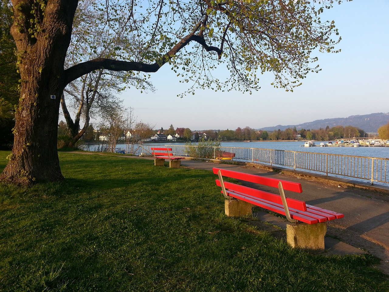 哈马斯谴责 哈马斯谴责