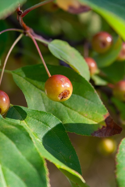 方式消耗青 方式消耗青